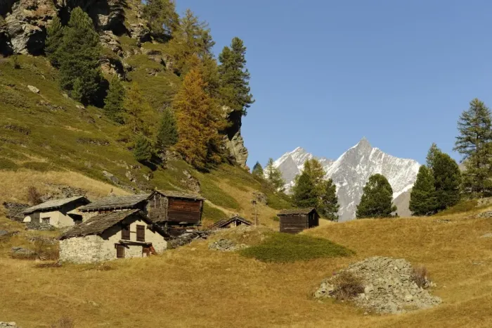 Framed Print : Mountain village of Blatten, old houses and a barn at the front, Zermatt, Valais, Switzerland, Europe Framed Print : Mountain village of Blatten, old houses and a barn at the front, Zermatt, Valais, Switzerland, Europe