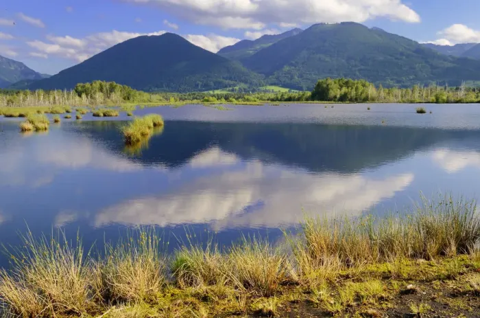 Framed Print : Mountains and clouds being reflected in a pond in a basin bog area, prealpine lands, Nicklheim, Bavaria, Germany, Europe Framed Print : Mountains and clouds being reflected in a pond in a basin bog area, prealpine lands, Nicklheim, Bavaria, Germany, Europe