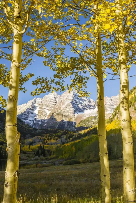 Framed Print : Mountains framed by autumn aspens, Maroon Bells, Colorado, USA