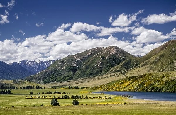 Mountains and meadows, Craigieburn Range, Porters Pass, Canterbury, South Island, New Zealand, Oceania