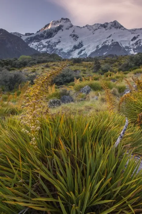 Framed Print : Mountcook national park, New zealand Framed Print : Mountcook national park, New zealand
