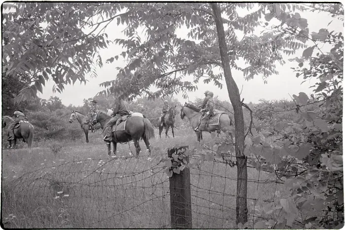 Framed Print : Mounted Police Search Clearing for Clues Framed Print : Mounted Police Search Clearing for Clues