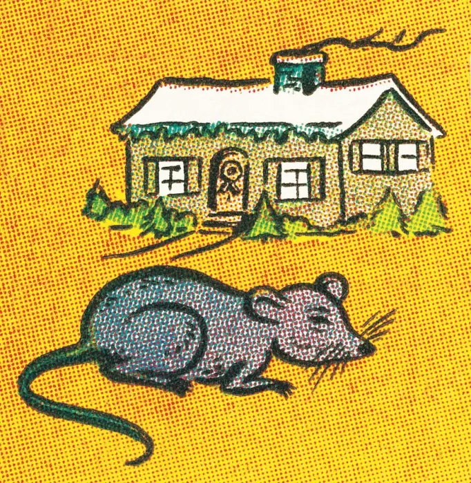 Framed Print : Mouse in the house Framed Print : Mouse in the house