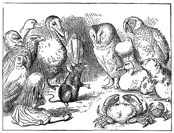 Mouse talking to Alice and a group of animals - Alice in Wonderland 1897