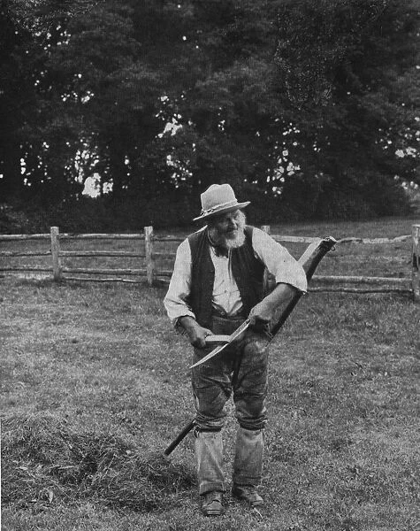 The Mower. 1899: An elderly mower sharpens his blade