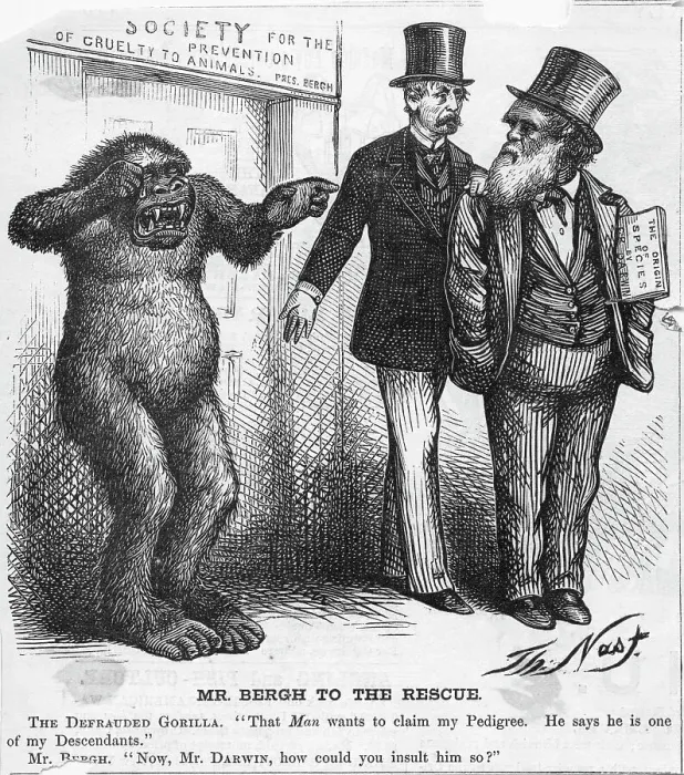 Framed Print : Mr. Bergh to the Rescue Cartoon by Thomas Nast Framed Print : Mr. Bergh to the Rescue Cartoon by Thomas Nast