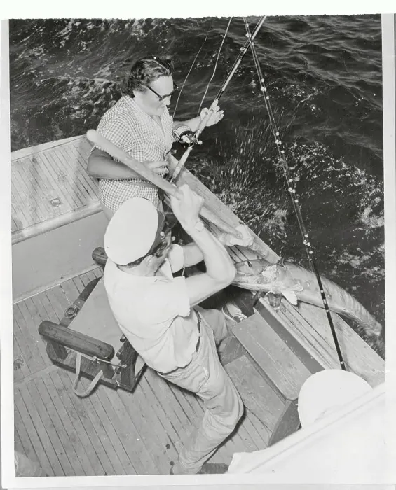 Framed Print : Mrs. Stafford Sands Pulling in a Fish Framed Print : Mrs. Stafford Sands Pulling in a Fish