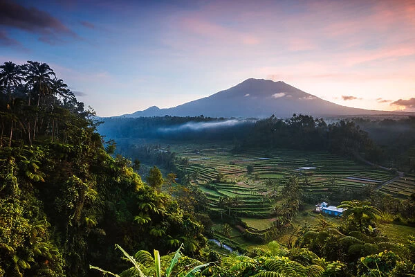 Mt Agung volcano and rice terraces at dawn, Bali