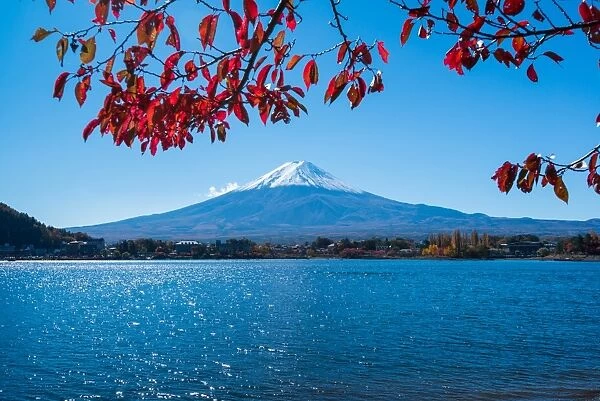 Mt. Fuji with autumn leaves
