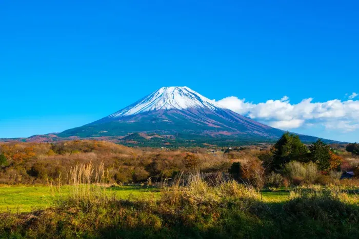 Framed Print : Mt. Fuji and Autumnscape Framed Print : Mt. Fuji and Autumnscape