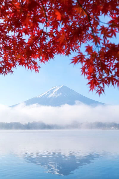 Mt Fuji in Iconic autumn view at morning from Lake Kawaguchiko, Fujikawaguchiko, Yamanashi, Japan