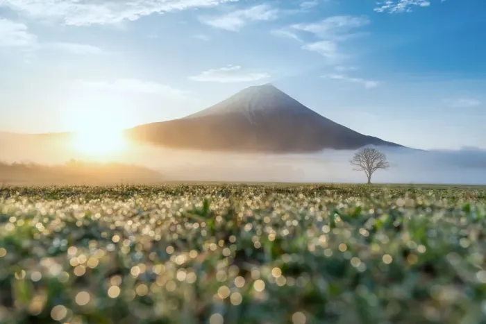Framed Print : Mt. Fuji, Japan Framed Print : Mt. Fuji, Japan