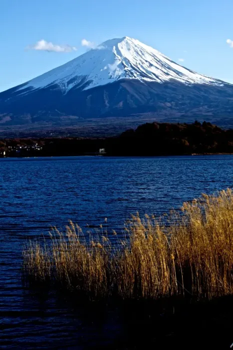 Framed Print : Mt Fuji Lake view Framed Print : Mt Fuji Lake view