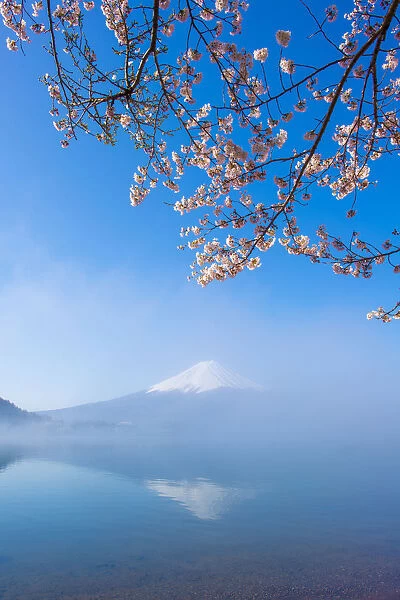 Mt. Fuji misty