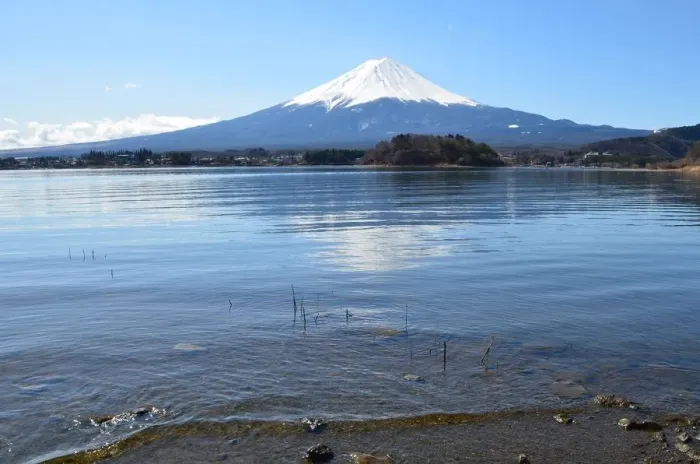 Framed Print : Mt. Fuji reflected in lake Kawaguchiko Framed Print : Mt. Fuji reflected in lake Kawaguchiko