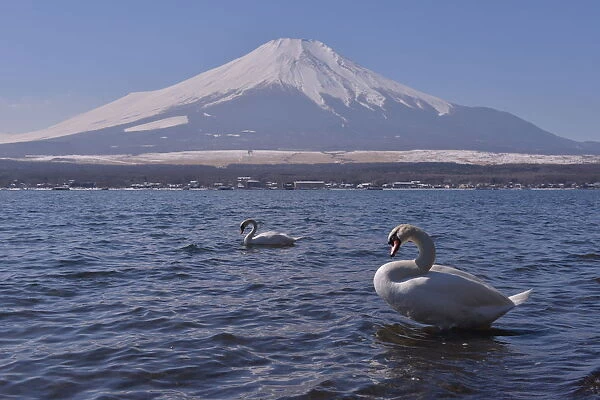 Mt Fuji and Yamanaka Lake in Winter