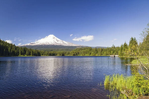 Mt. Hood reflecting in Trillium Lake in Mt Hood National Forest, Hood River County, Oregon, USA
