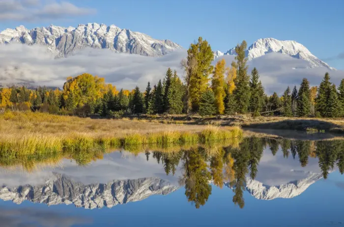 Framed Print : Mt. Moran and Teton Range reflecting in channel of Snake River, Schwabacher Landing, Grand Teton National Park, Wyoming, USA Framed Print : Mt. Moran and Teton Range reflecting in channel of Snake River, Schwabacher Landing, Grand Teton National Park, Wyoming, USA