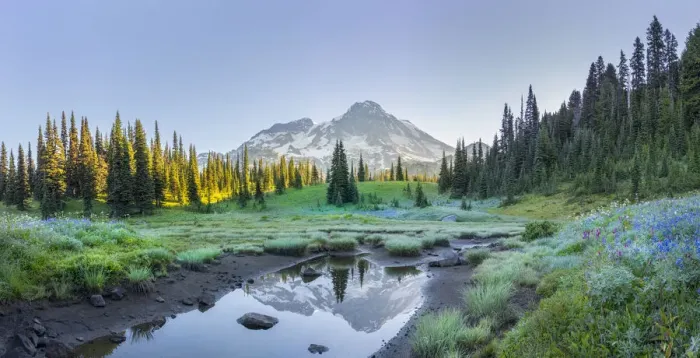 Framed Print : Mt. Rainier reflecting in tarn at dawn, Indian Henrys Hunting Ground, Mt. Rainier National Park, Washington State, USA
