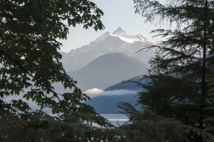 Framed Print : Mt. Shuksan framed by shoreline vegetation, Washington State, USA