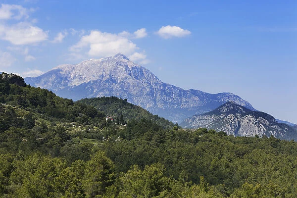 Mt. Tahtali Dagi, Olimpos Beydaglari National Park, Kemer, Lycia, Province of Antalya, Turkey
