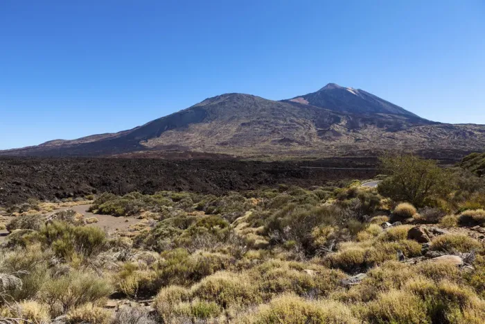 Framed Print : Mt Teide volcano in the Teide National Park, UNESCO World Heritage Site, El Jaral, Tenerife, Canary Islands, Spain Framed Print : Mt Teide volcano in the Teide National Park, UNESCO World Heritage Site, El Jaral, Tenerife, Canary Islands, Spain