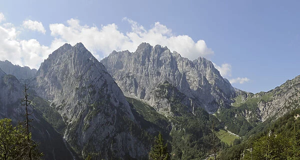 Mt Wilder Kaiser, Mt Predigtstuhl and Mt Fleischbank, hike to Ranggenalm alpine pasture, Tyrol, Austria, Europe