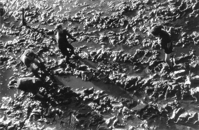 Framed Print : Mud Games. Children playing on mud flats in Portsmouth where large areas Framed Print : Mud Games. Children playing on mud flats in Portsmouth where large areas