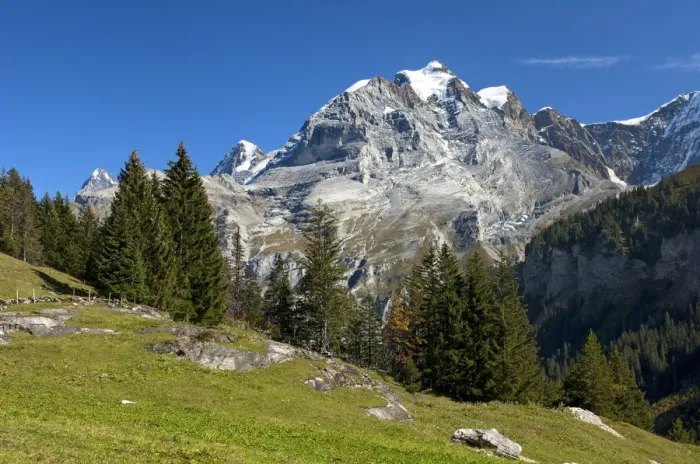 Framed Print : Muerren hiking area, view of Mt Jungfrau, Bernese Oberland, Switzerland, Europe Framed Print : Muerren hiking area, view of Mt Jungfrau, Bernese Oberland, Switzerland, Europe