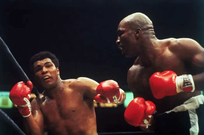 Framed Print : Muhammad Ali and Earnie Shavers During Bout Framed Print : Muhammad Ali and Earnie Shavers During Bout