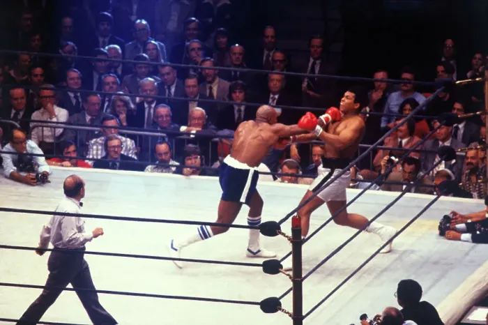 Framed Print : Muhammad Ali and Earnie Shavers During Bout Framed Print : Muhammad Ali and Earnie Shavers During Bout