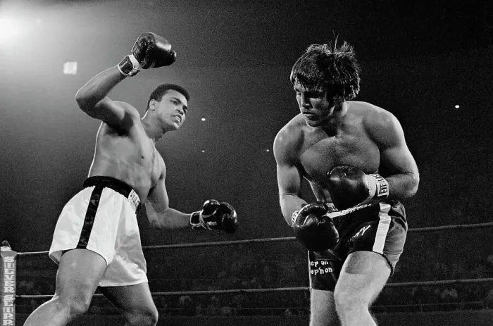 Framed Print : Muhammad Ali and Jerry Quarry During Bout