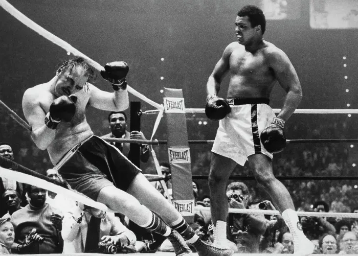 Framed Print : Muhammad Ali Knocking Chuck Wepner onto the Ropes Framed Print : Muhammad Ali Knocking Chuck Wepner onto the Ropes
