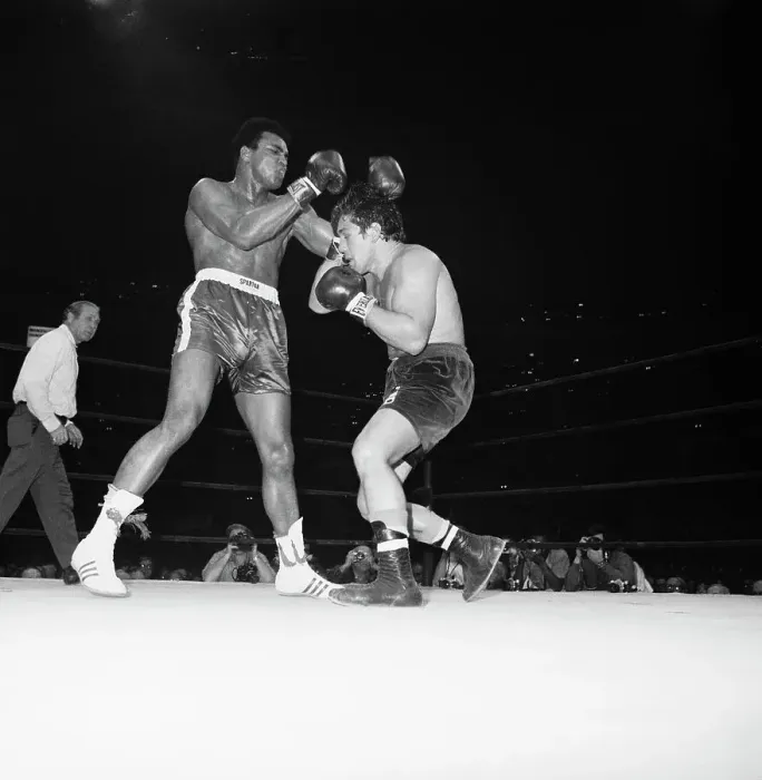 Framed Print : Muhammad Ali and Oscar Bonavena During Fight Framed Print : Muhammad Ali and Oscar Bonavena During Fight