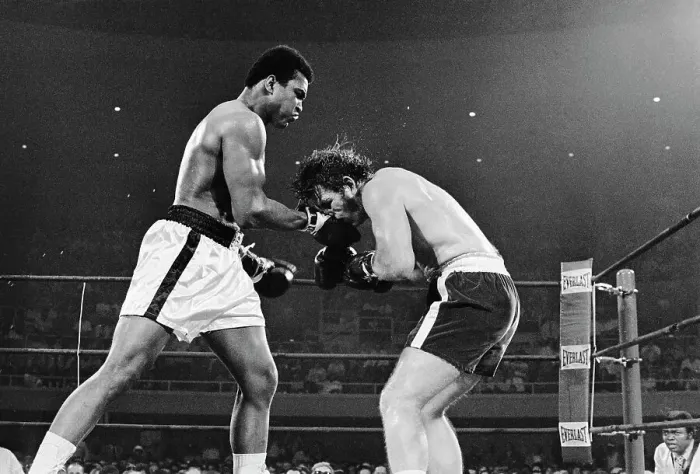 Framed Print : Muhammad Ali Punching Jerry Quarry Framed Print : Muhammad Ali Punching Jerry Quarry