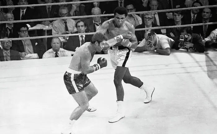 Framed Print : Muhammad Ali Punching Jerry Quarry Framed Print : Muhammad Ali Punching Jerry Quarry