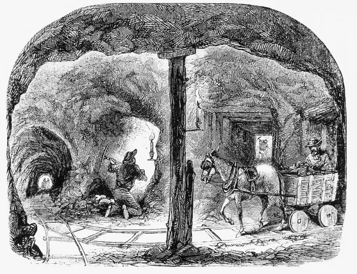 Framed Print : Mule Pulls Cart Thru Ca Gold Mine: Illus