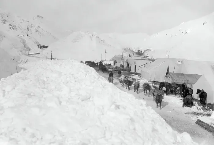 Framed Print : Mules and Tents at White Pass Summit