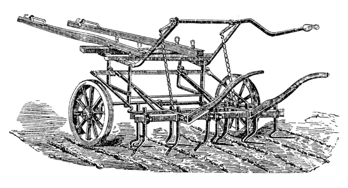Framed Print : Multi-row hoeing Framed Print : Multi-row hoeing