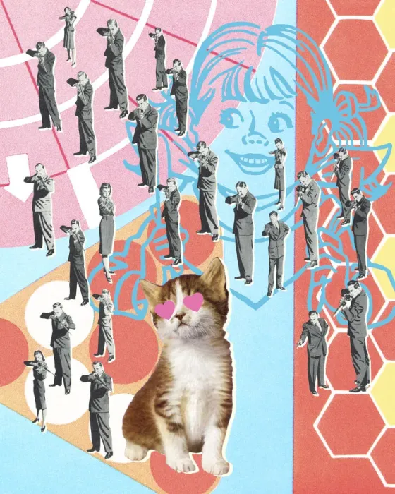 Framed Print : Multiple People Pointing Guns at a Kitten Framed Print : Multiple People Pointing Guns at a Kitten