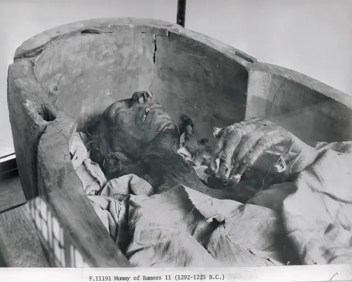 Framed Print : Mummy of Ramses II King of 19th Dynasty of Egypt Framed Print : Mummy of Ramses II King of 19th Dynasty of Egypt
