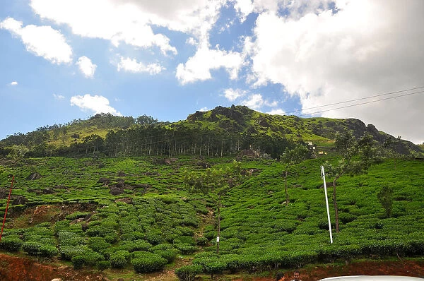 Munnar hill station located in the western Ghats of Idukki district of Kerala