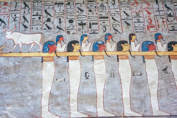 Mural paintings in tomb of Ramses I