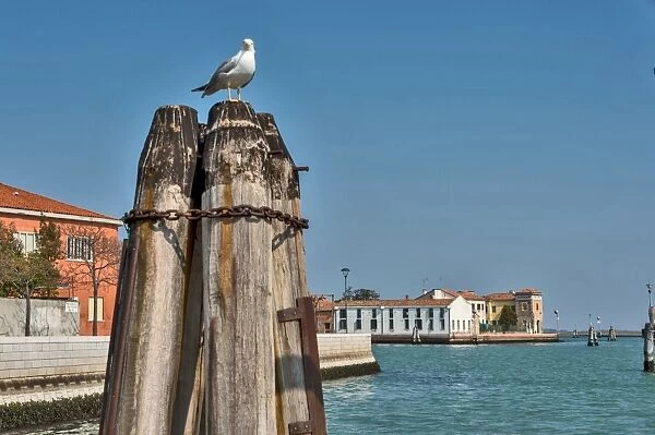 Murano is a series of islands linked by bridges in the Venetian Lagoon, northern Italy