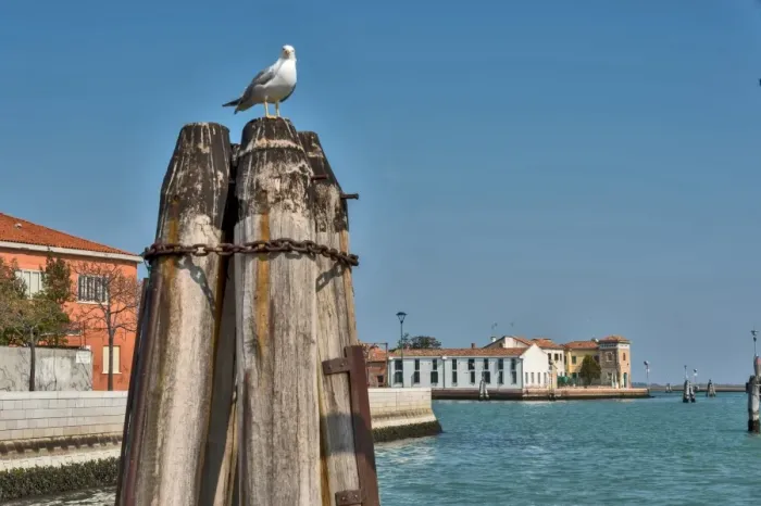 Framed Print : Murano is a series of islands linked by bridges in the Venetian Lagoon, northern Italy Framed Print : Murano is a series of islands linked by bridges in the Venetian Lagoon, northern Italy