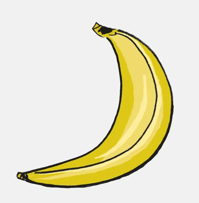 Framed Print : Musa sp. single yellow banana Framed Print : Musa sp. single yellow banana
