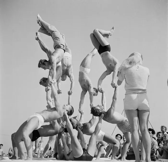 Framed Print : Muscle Beach Santa Monica Framed Print : Muscle Beach Santa Monica