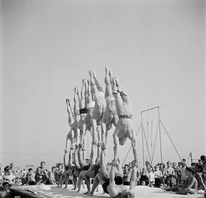 Framed Print : Muscle Beach Santa Monica Framed Print : Muscle Beach Santa Monica
