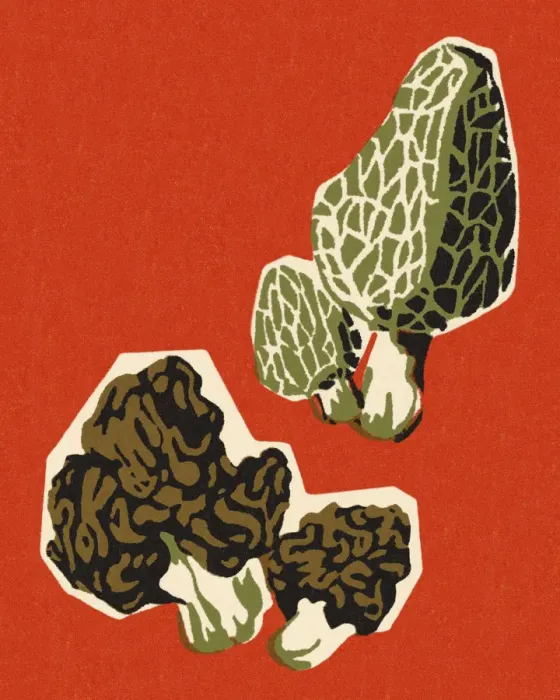 Framed Print : Mushrooms. http: / / csaimages.com / images / istockprofile / csa_vector_dsp.jpg Framed Print : Mushrooms. http: / / csaimages.com / images / istockprofile / csa_vector_dsp.jpg