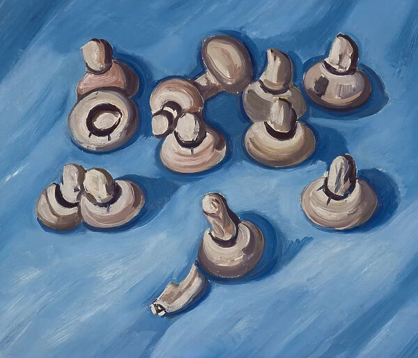 Mushrooms on a Blue Background 1929